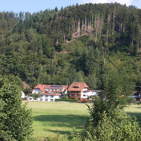 Ferienwohnung Am Rain Winden im Elztal Exteriér fotografie