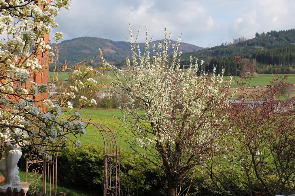 Ferienwohnung Am Rain Winden im Elztal Exteriér fotografie