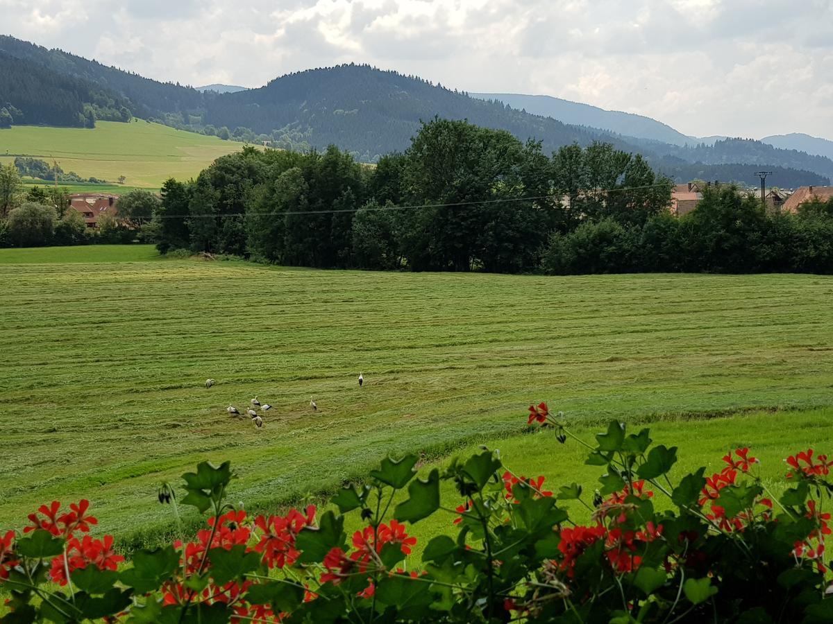 Ferienwohnung Am Rain Winden im Elztal Exteriér fotografie